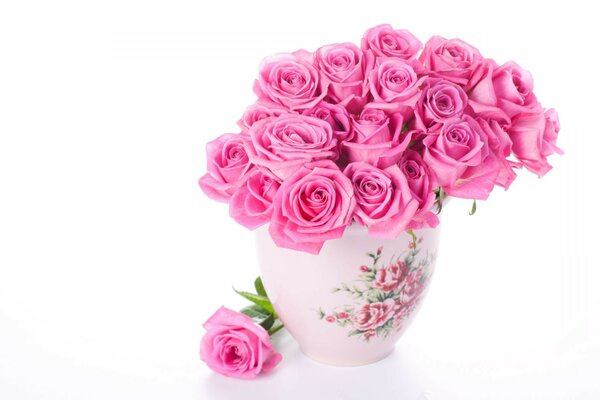 Розы розовые белый фон ваза
