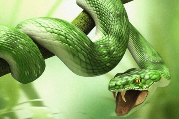 листья зелёный змея ветка