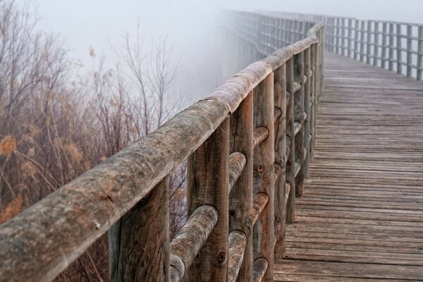 доски туман мост пасмурно