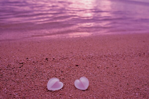 Сердца на пляже