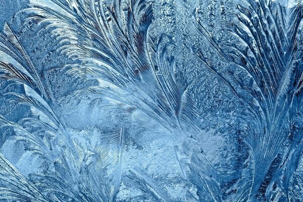 Ледяной узор на окне
