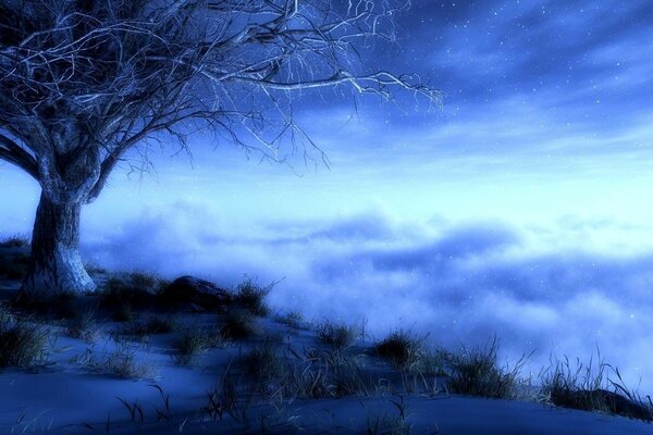 Дерево, ночь, туман