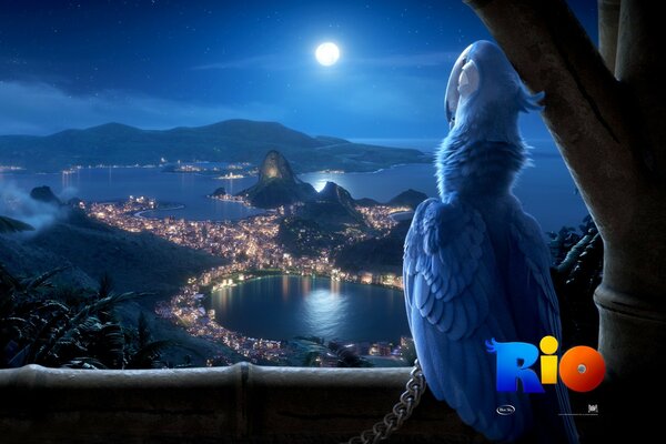 Попугай из мультфильма Рио
