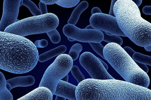 Микроорганизмы 3d