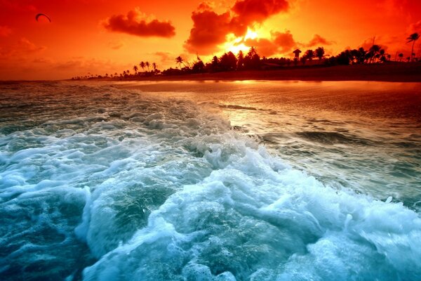 Тропический пляж закат