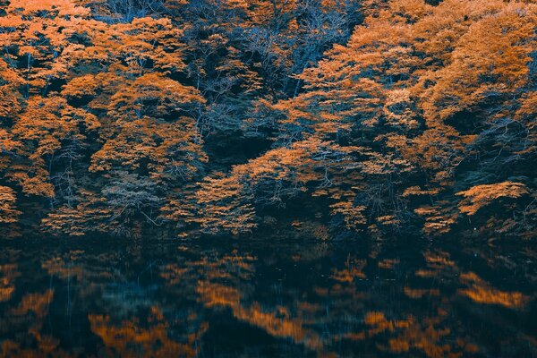 Осень отражение