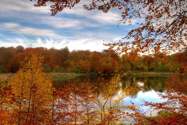 Красочный Осенний лес отражается в спокойное озеро