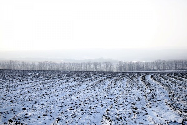 Зима поле