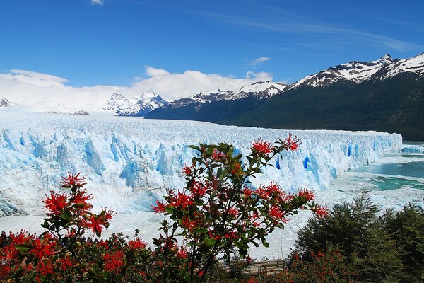 Ледниковый - Чили