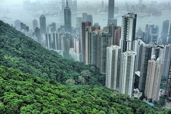 Гонконг холмы