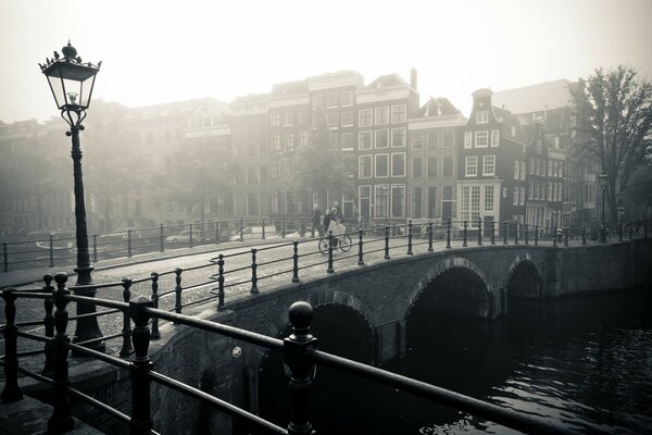 Мисти Амстердам