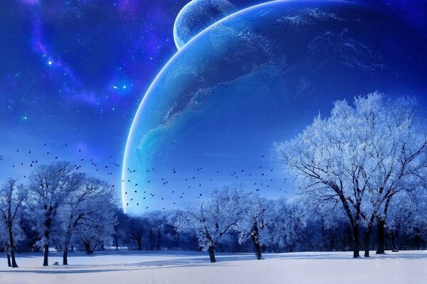 Зима луна небо космос голубые тона деревья в изморози 