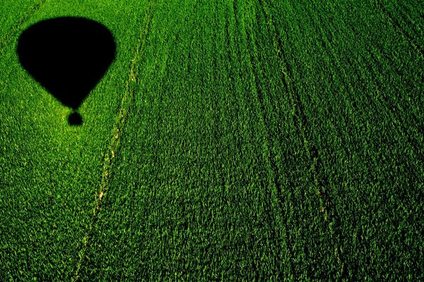 Воздушный шар над кукурузное поле