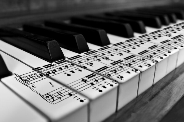 ноты черно-белое пианино клавиши Karl683