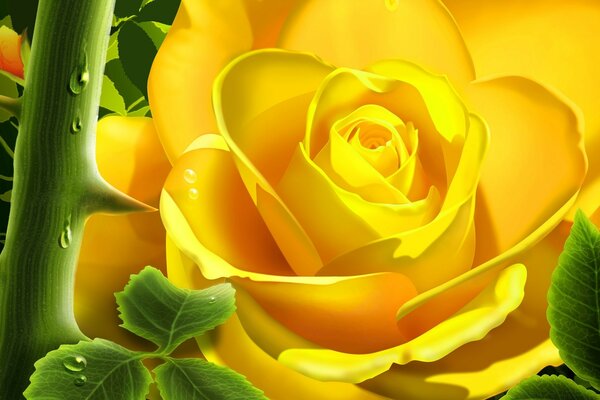 Желтая роза рисунок