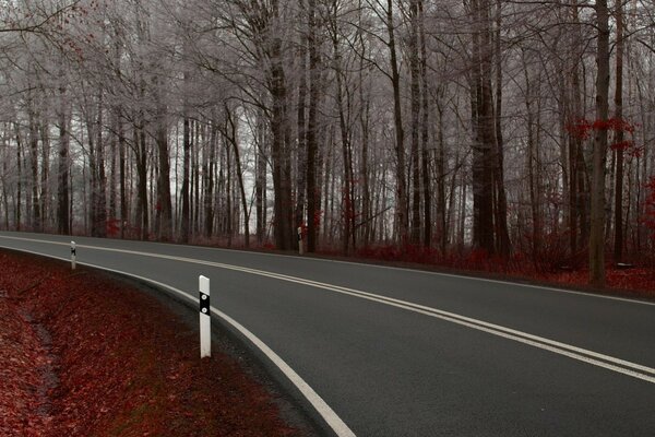 идеальная дорога трасса красная осень поворот