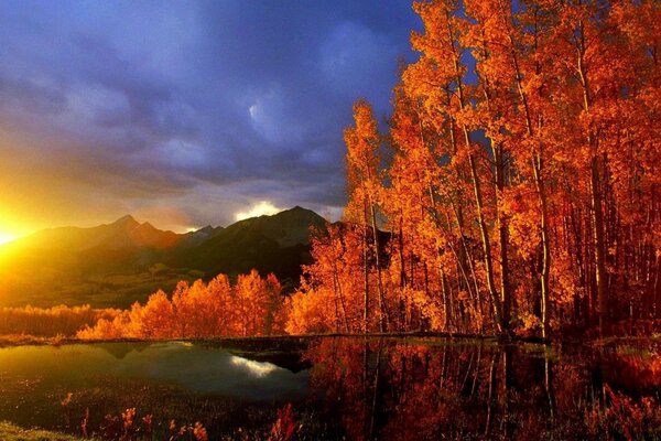 Природа осень горы отражение деревья золотые кроны озе