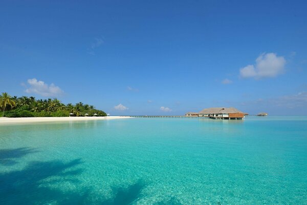 сейшелы прозрачная вода Мальдивы остров белый песок