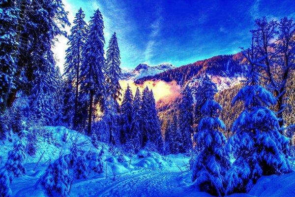 горы зима пейзаж лес