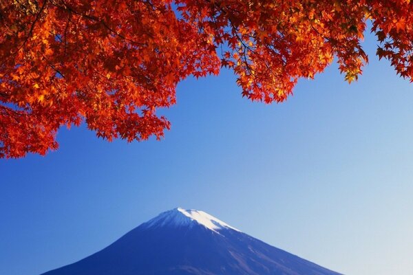 снег гора листья красные япония