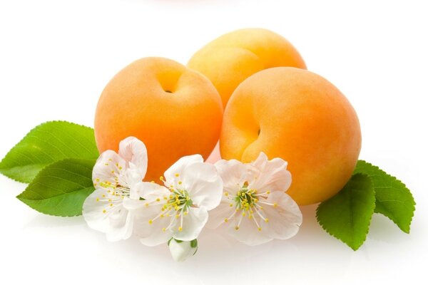 Три персика и белые цветы