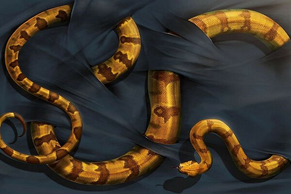 Змея,черная ткань