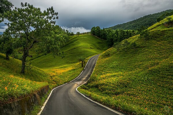 Серпантин дороги извивается среди зеленых холмов