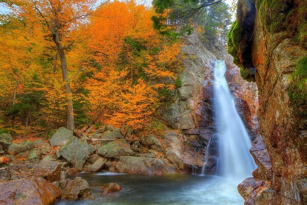 водопад в лесу осенью