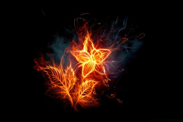 Огненный цветок 1