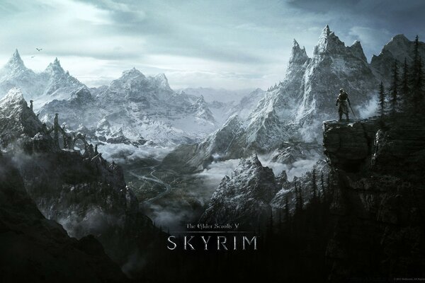 The Elder Scrolls V Skyrim (видеоигра)