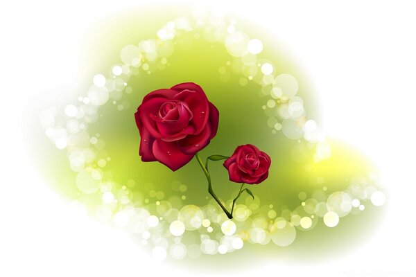 Валентина розы