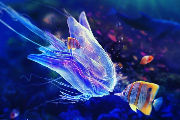 Рыбы и медуза