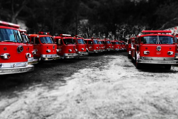 Пожарные машины - красный черный белый