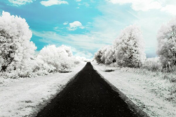 Зима, дорога, снег, небо