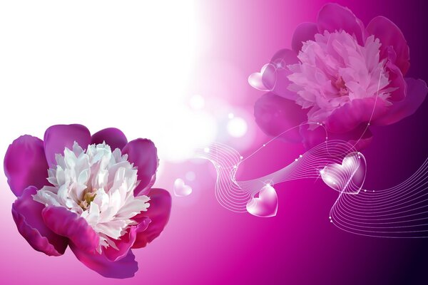 Фиолетовый фон, цветы, сердечки