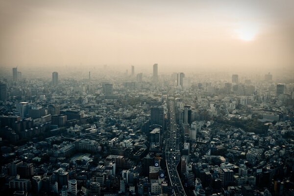Токио смога