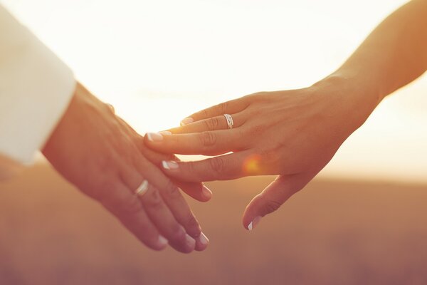 солнце девушка настроение боке фон руки люблю обои человечки нежность день муж и жена кольцо прикосновение молодожены человечек новобрачные