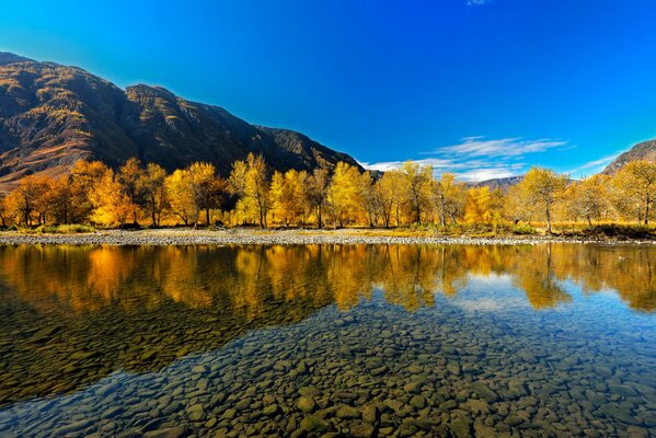 горный алтай осень река отражение
