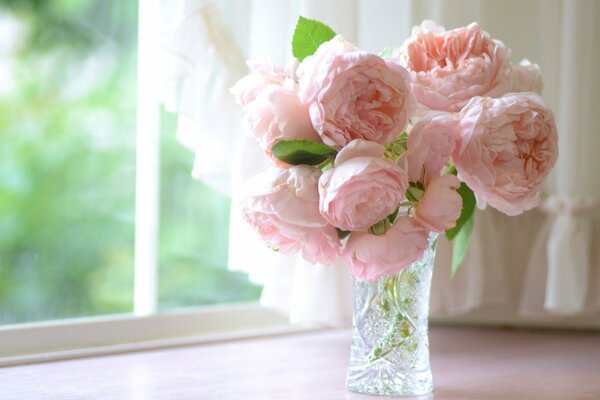 розы лепестки розовые бутоны ваза подоконник окно