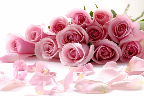 букет розы розовый