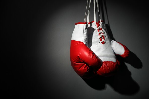 боевое искусство бокс боксерские перчатки висят на стене красивый фон серый фон обои .