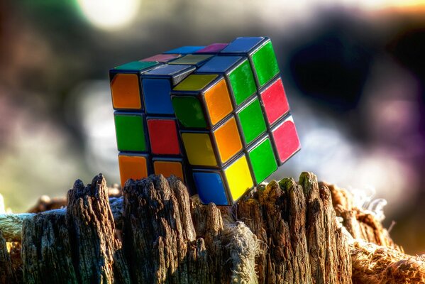 пень кубик рубика грани цвет головоломка макро