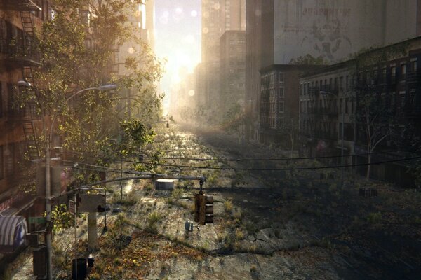 арт трещины улица заброшенность город восход заросли постапокалипсис руины