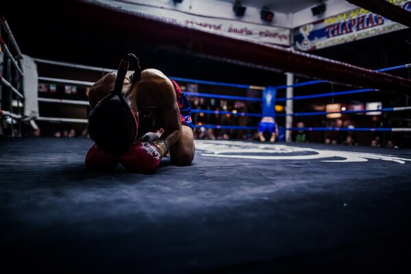 боксерский ринг до борьбы таиланд