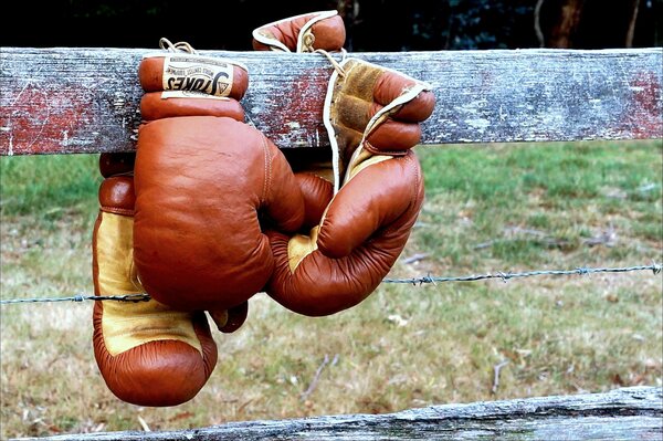 бокс боксерские перчатки забор спорт