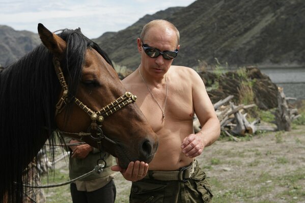 владимир путин президент россии премьер-министр россии лошадь природа путин горы обои
