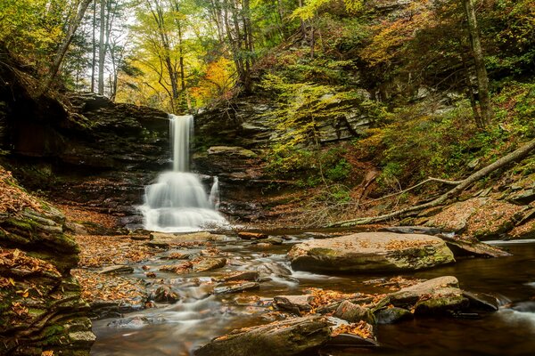 шелдон рейнольдс фоллс рикеттс glen state park пенсильвания водопад река лес осень камни