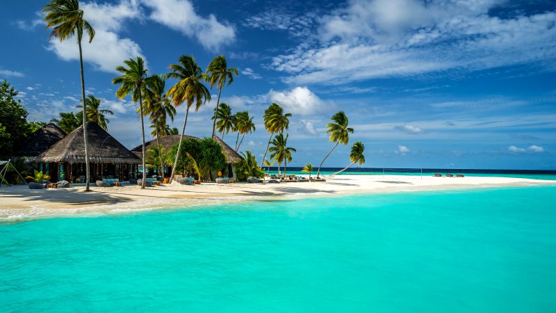 Мальдивы, 5k, 4k, 8k, Индийский Океан, и на русском Лучшие в мире пляжи, пальмы, берег, небо (horizontal)