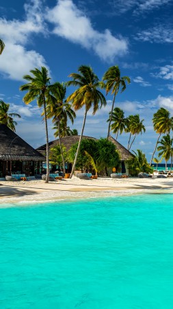 Мальдивы, 5k, 4k, 8k, Индийский Океан, и на русском Лучшие в мире пляжи, пальмы, берег, небо (vertical)