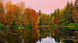 Превью обои лес, озеро, отражение, осень